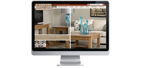 Hotzon Furniture Website Design