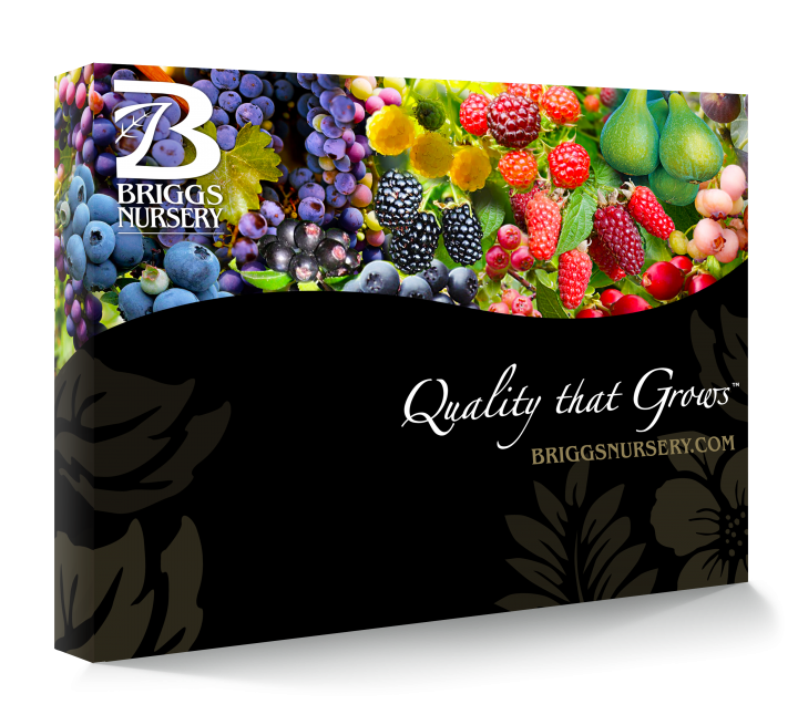 Briggs Nursery Inc. Trade Show Booth