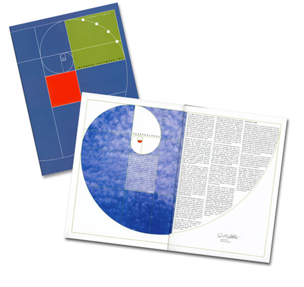 Infowave Software Ltd. Annual Report 2381