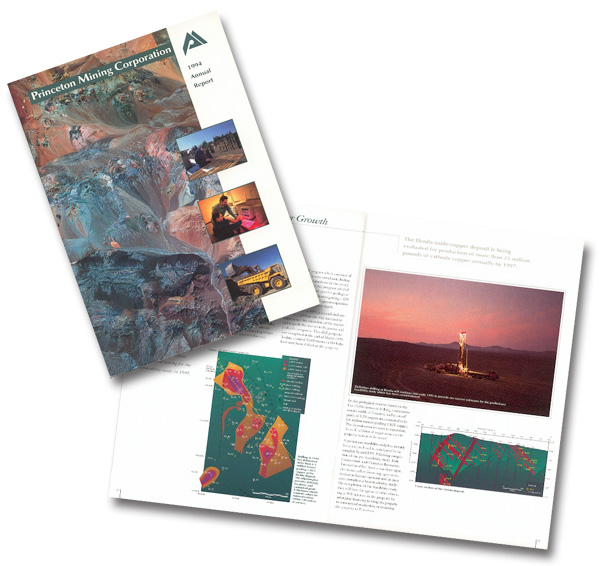 Princeton Mining Corporation Annual Report 2385