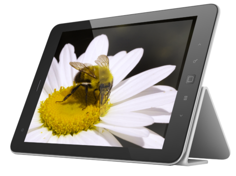 flower-ipad-image-daisy